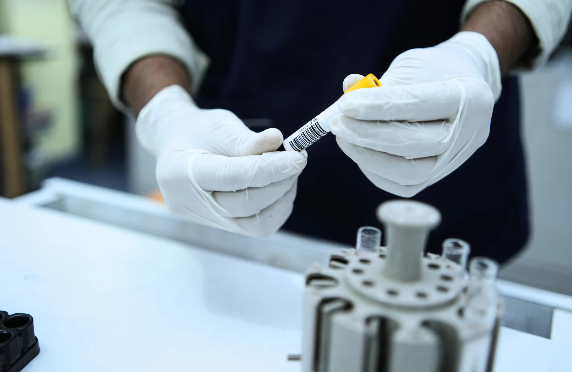 ninobzkdfs5xyp9wfelv