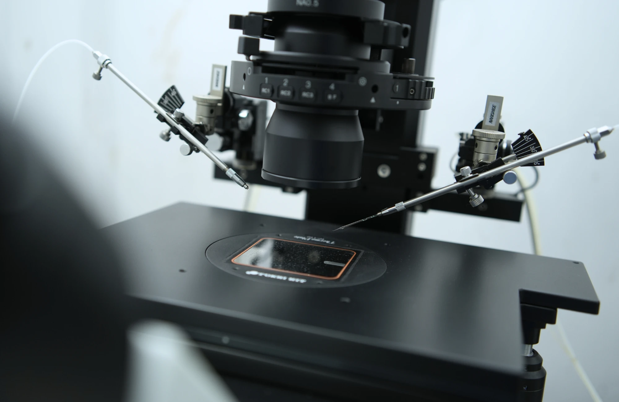 zcdfhmslrfyftwtd0cm5